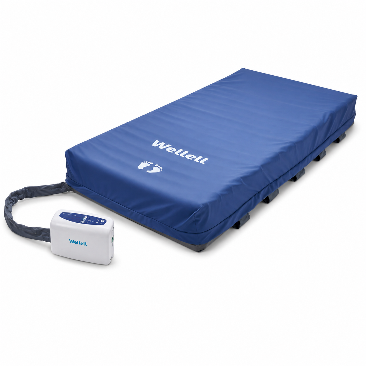 Wellell Domus Auto Bariatric
