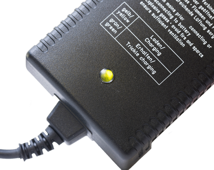 MSP-C-AH-0020X Wall Mounted Charger 24V 1000mA – LED charging indicator