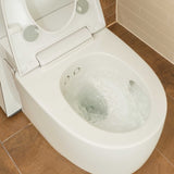 Geberit AquaClean Mera Care Bidet Shower Toilet Flushing