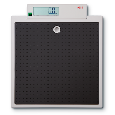 Seca 875 Flat Scale